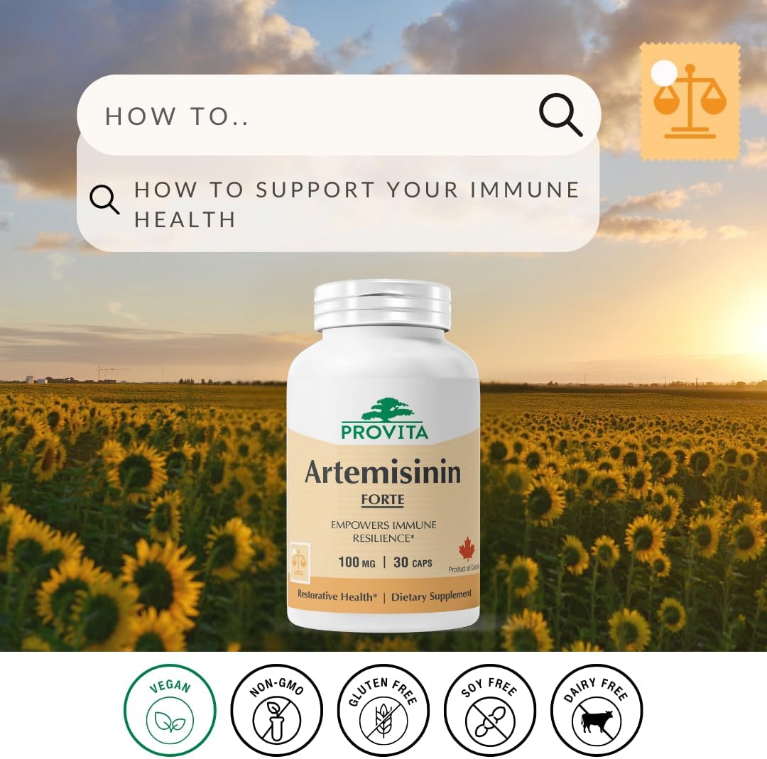 PROVITA Artemisinin Pro – Sweet Wormwood Capsules, Immune Support Food Supplement - görsel 2