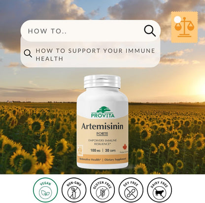 PROVITA Artemisinin Pro – Sweet Wormwood Capsules, Immune Support Food Supplement