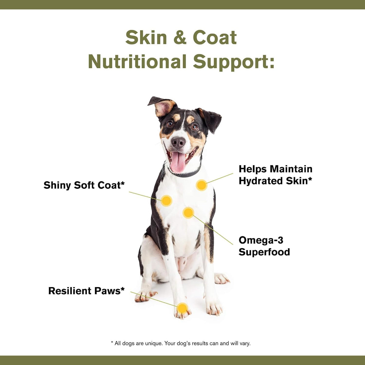 Badlands Ranch Skin & Coat Canine Supplement – Omega-3, Organic Ingredients, Powder for Dogs (30 Scoops) - görsel 5
