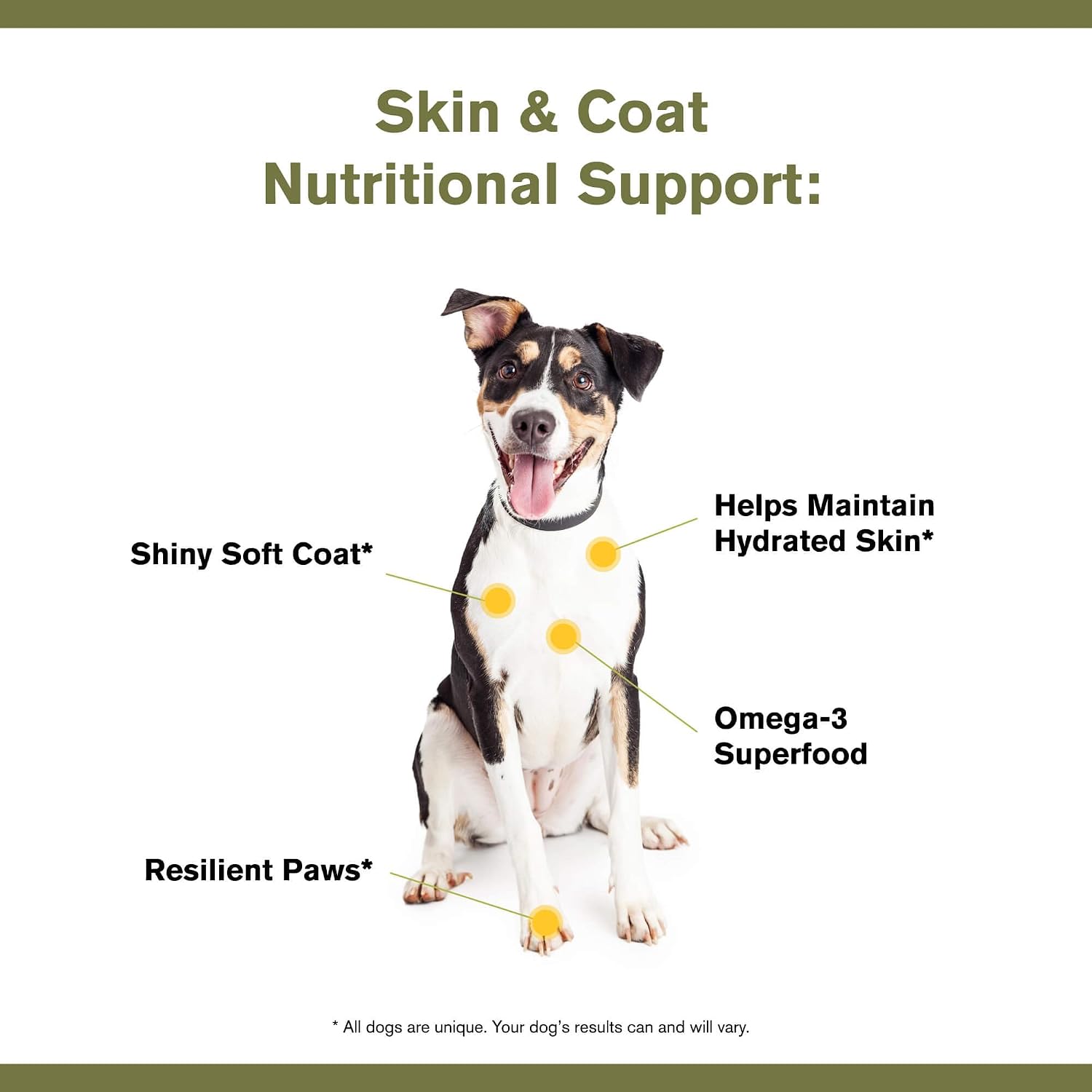 Badlands Ranch Skin & Coat Canine Supplement – Omega-3, Organic Ingredients, Powder for Dogs (30 Scoops) - görsel 5