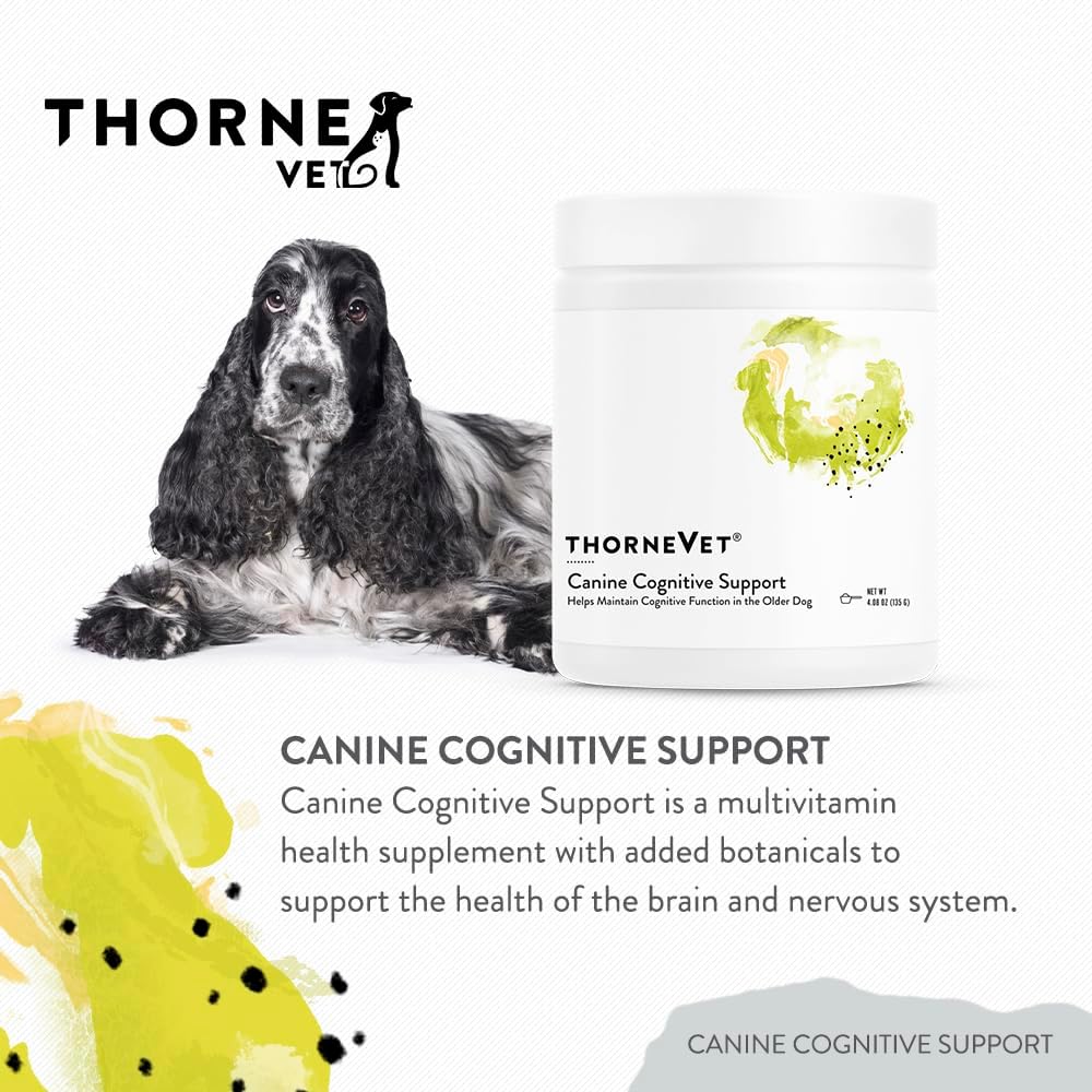 Canine Cognitive Support Powder for Dogs - Brain Health Supplement with B Vitamins and Antioxidants - 90 Scoops - görsel 3