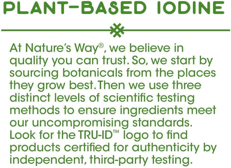 Nature's Way Premium Herbal Bladderwrack Whole Thallus 580 mg, 100 Capsules (Pack of 2) - görsel 3