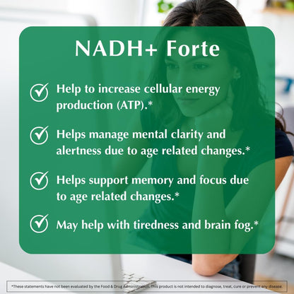 PROVITA NADH+ Forte - Cognitive Support with NADH, CoQ10 & Chlorophyll