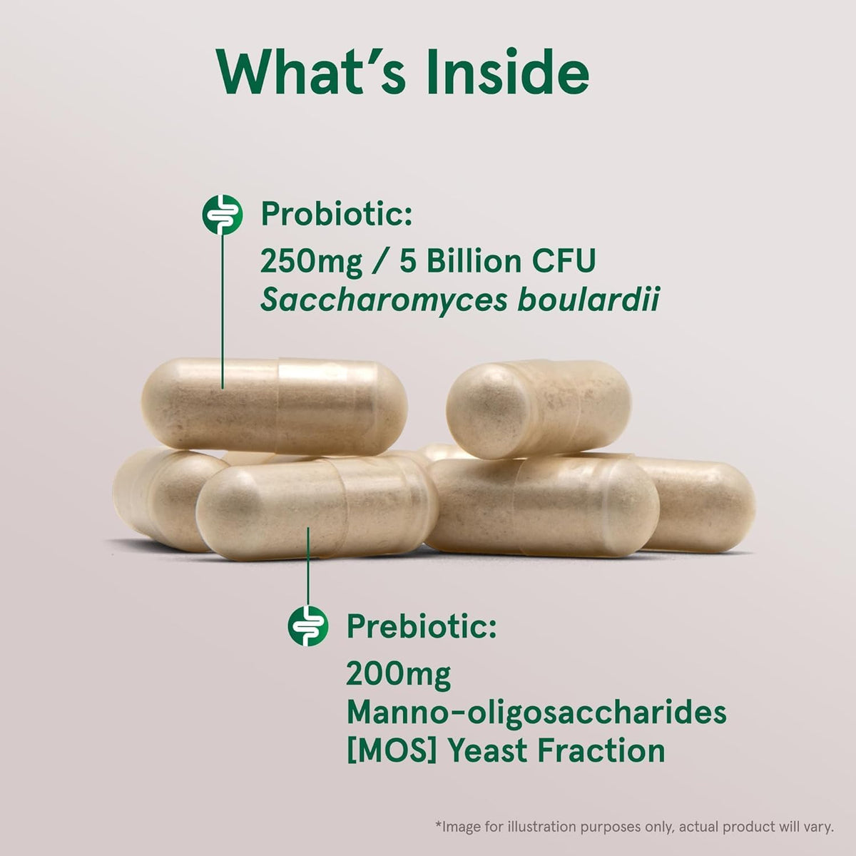 Jarrow Formulae Saccharomyces Boulardii + MOS - 5 Billion Viable Organisms per Serving - 90 Delayed Release Vegetarian Capsules, Pack of 2 - Probiotic + Prebiotic - Intestinal Tract Support - Up to 180 Servings - görsel 3