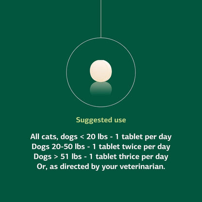 Standard Process VF Antronex for Pets - Hepatic Support for Dogs and Cats (90 Tablets)