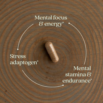 New Chapter Rhodiola Force 300mg – Vegan Adaptogen for Mental Focus & Stress Support