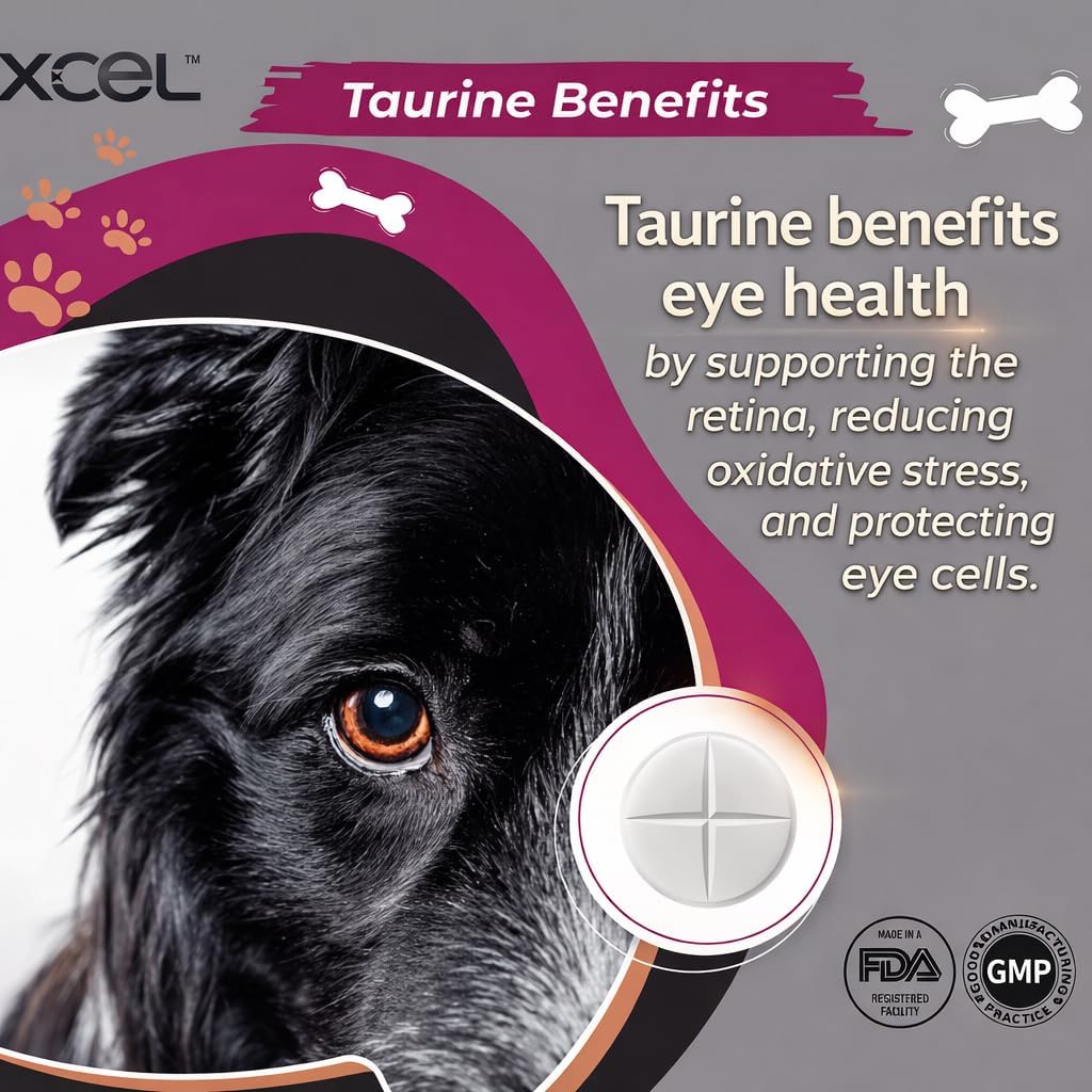 XCEL Taurine for Dogs 1000 mg with L-Carnitine, Quarter-Scored Tablets - görsel 7