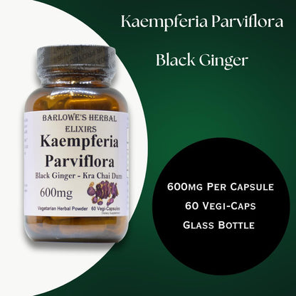 Barlowe's Herbal Elixirs Kaempferia Parviflora Supplement | Black Ginger | 600mg | 60 Veggie Capsules | Supports Vitality & Wellbeing | Stearate Free