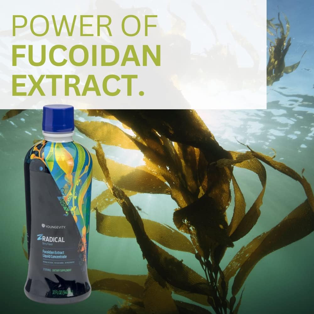 Youngevity ZRadical™ Fucoidan - Organic Maritech Fucoidan Extract with Cofactors - Immune Support - Super Antioxidant - 946 ml (32 fl oz) Pack of 4 - görsel 6