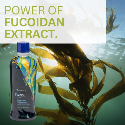 Youngevity ZRadical™ Fucoidan - Organic Maritech Fucoidan Extract with Cofactors - Immune Support - Super Antioxidant - 946 ml (32 fl oz) Pack of 4