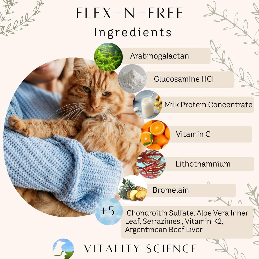 Flex N Free for Dogs - Natural Joint Support Powder (120g) - görsel 3