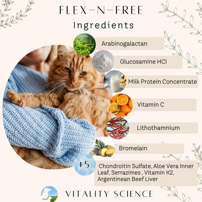 Vitality Science Flex N Free for Dogs - Promotes Healthy Joints, Relieves Stiffness, Maintains Mobility, Reduces Inflammation (220g)