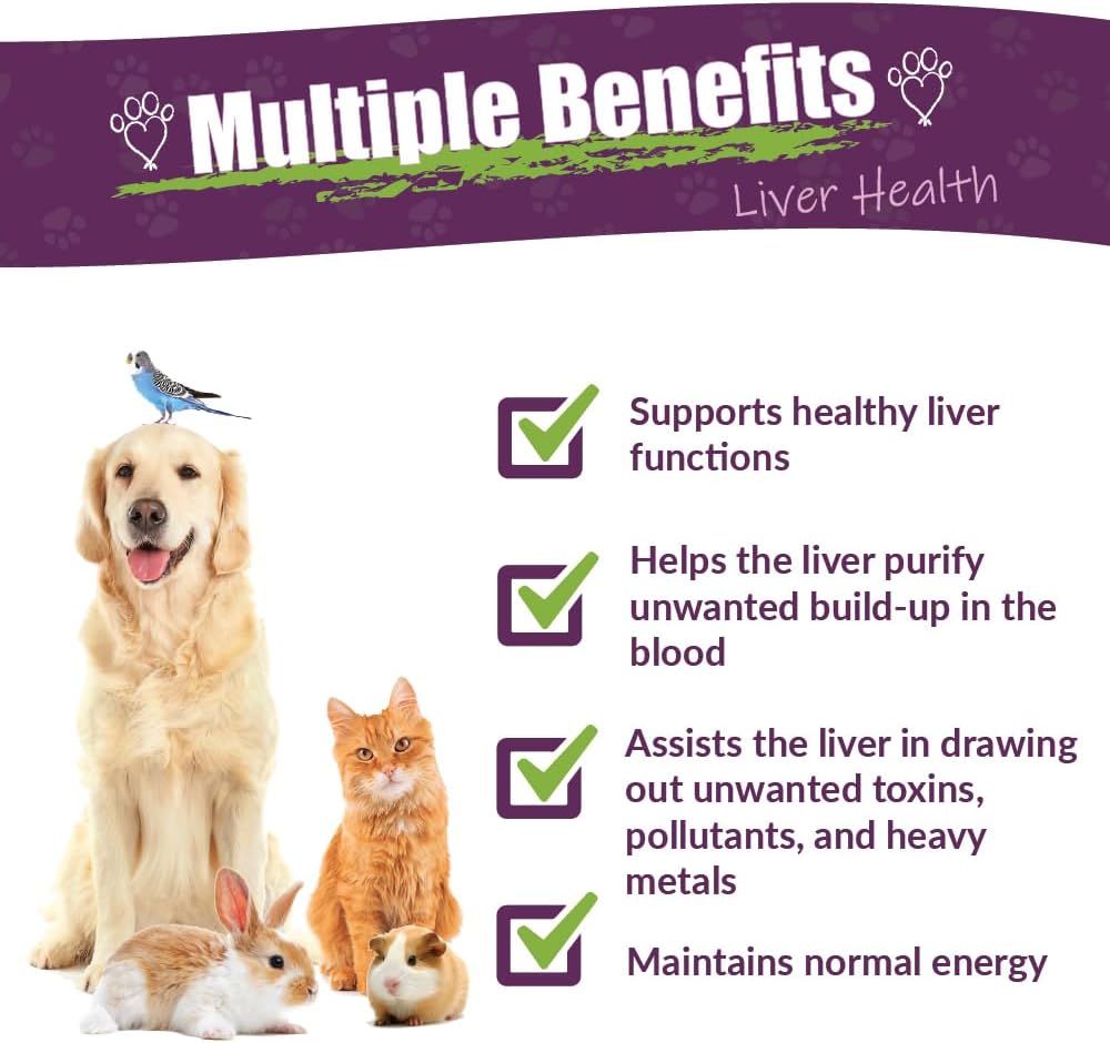 Amber NaturalZ Life Cell Support Herbal Supplement for Pets - Liver and Lymphatic Support, 30 ml - görsel 2