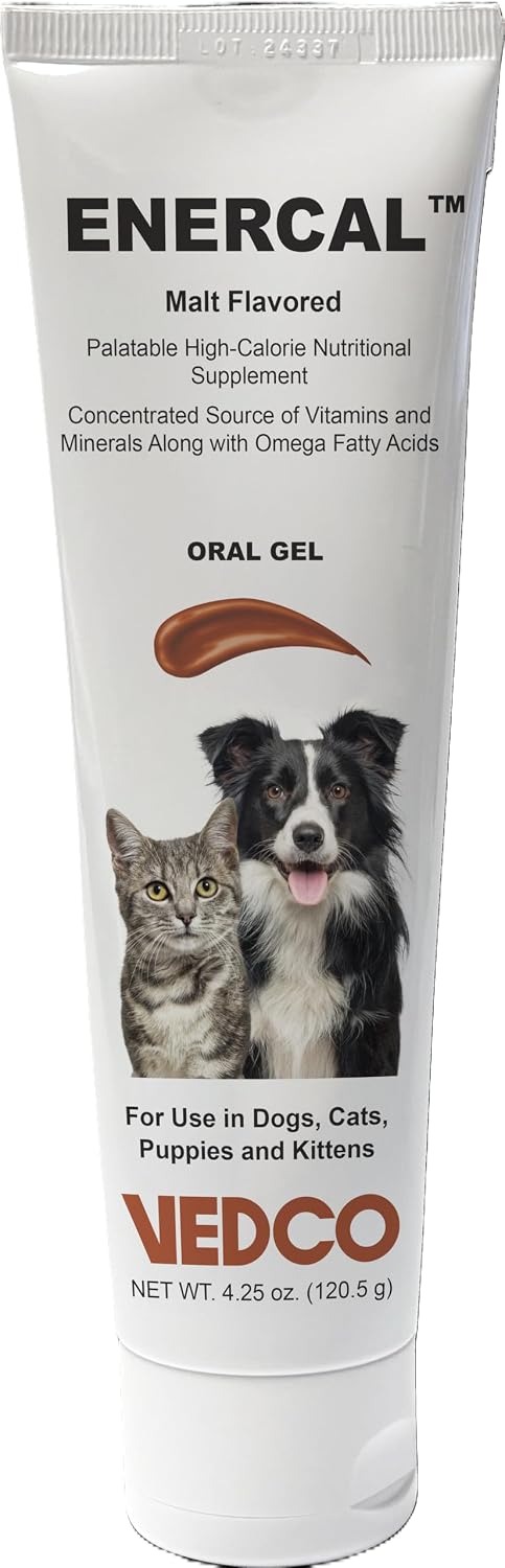 ENERCAL Oral Gel Malt Flavour 120g Tube - görsel 1