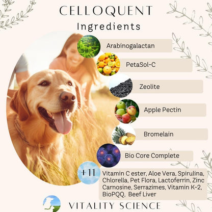 Vitality Science Celloquent for Dogs – Natural Immune & Digestive Support (220g)