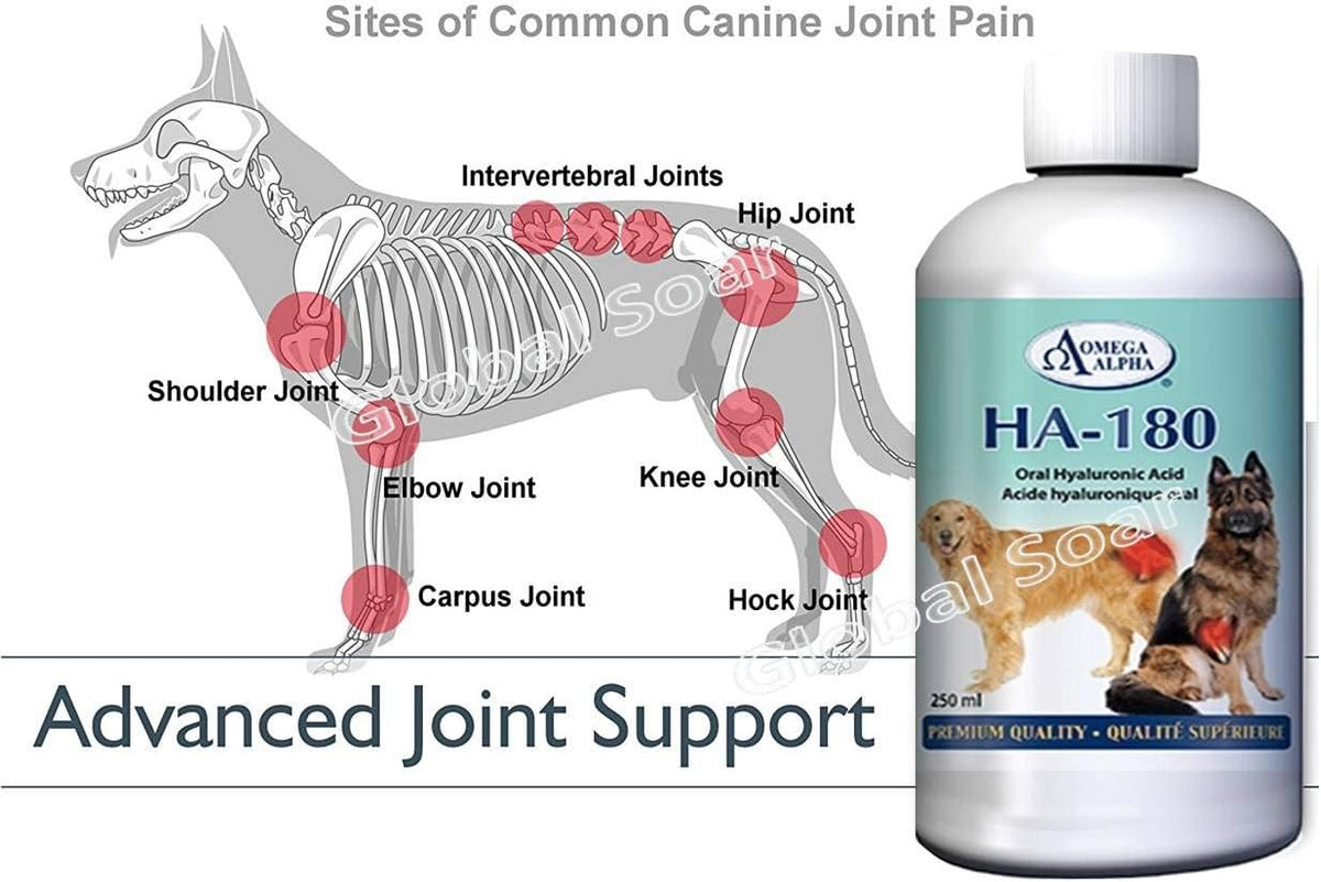 Omega Alpha HA-180 (Hyaluronic Acid) for Pets - 250ml - görsel 7