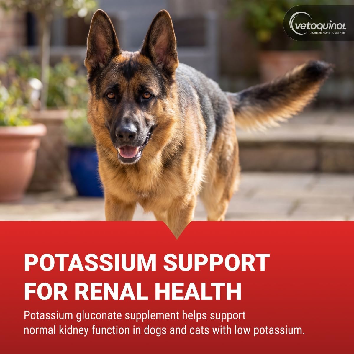 Vetoquinol Renal K - Potassium Supplement Powder for Dogs & Cats - Supports Kidney Health - 99g - görsel 2