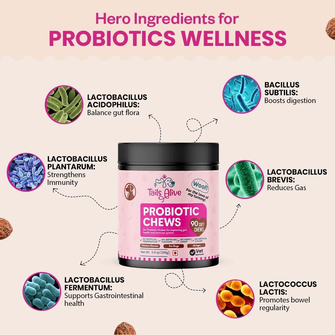 TailsAlive Probiotic Soft Chews for Dogs | Six Probiotic Strains for Gut Health & Digestion | Chicken Flavour | Supports Immune Function | 90 Soft Chews - görsel 5