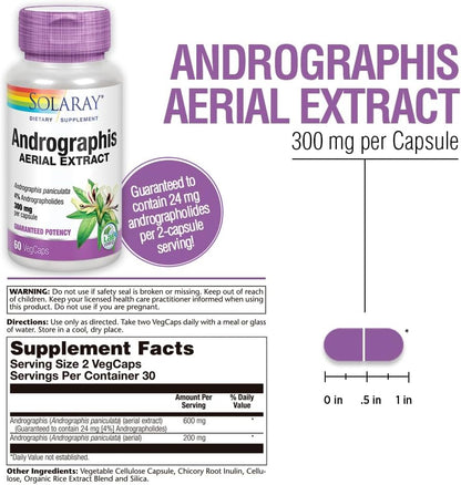 SOLARAY Andrographis 600mg - Immune Support Supplement for Men and Women - Standardised to 4% Andrographolides - Vegan, Non-GMO, Lab-Tested - 60 Vegan Capsules