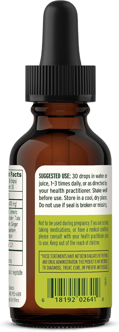 Banyan Botanicals I Travel Well Liquid Extract – Organic Fast-Acting Immune Support – 30 ml