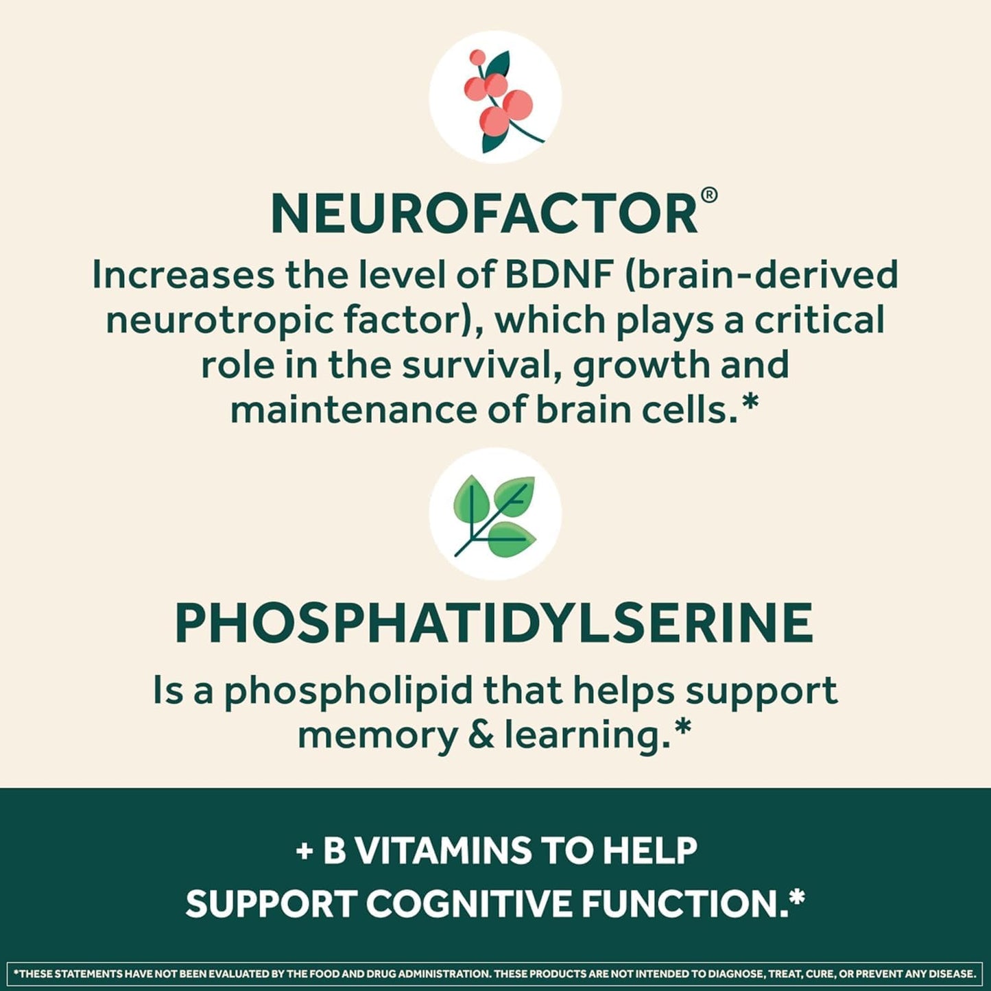 NEURIVA Plus Brain Supplement for Memory, Focus & Concentration with Neurofactor, Phosphatidylserine, Vitamin B6 & B12, 60 Capsules - görsel 4