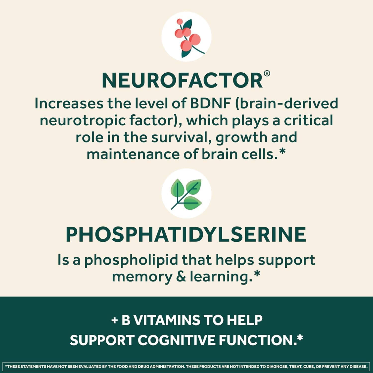 NEURIVA Plus Brain Supplement for Memory, Focus & Concentration with Neurofactor, Phosphatidylserine, Vitamin B6 & B12, 60 Capsules - görsel 4