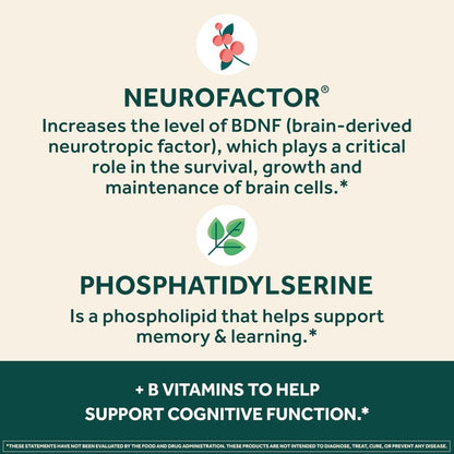 NEURIVA Plus Brain Supplement for Memory, Focus & Concentration with Neurofactor, Phosphatidylserine, Vitamin B6 & B12, 60 Capsules