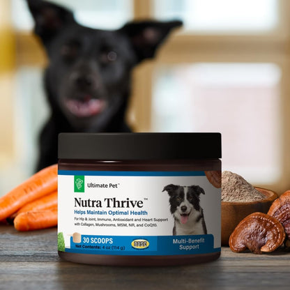 Ultimate Pet Nutrition Nutra Thrive Canine, 40-in-1 Nutritional Powder Supplement for Dogs – Bacon Flavour, 30 Scoops