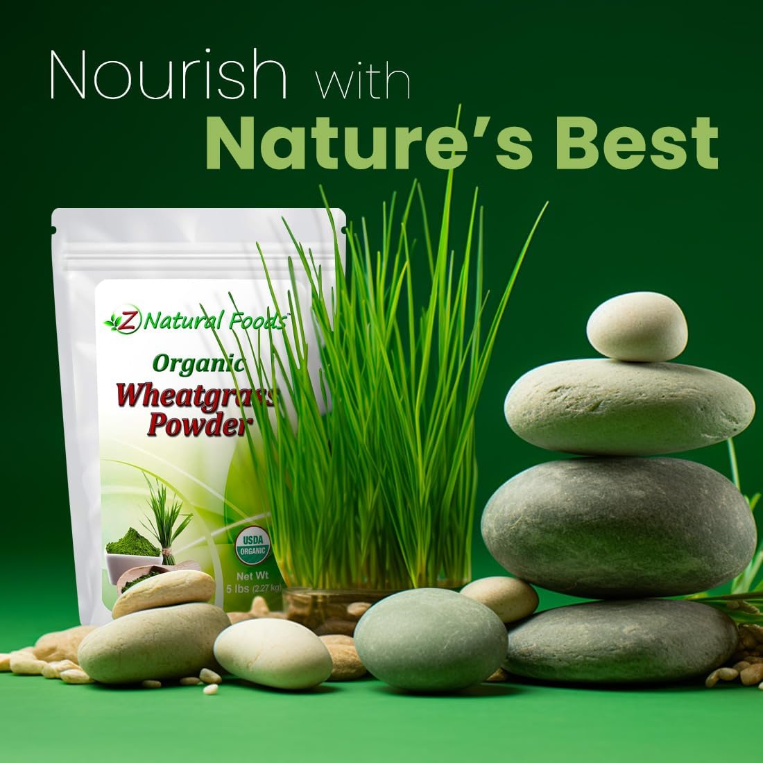 Organic Wheatgrass Powder - 2.27 kg (5 lb) Bulk - Raw Superfood - görsel 3