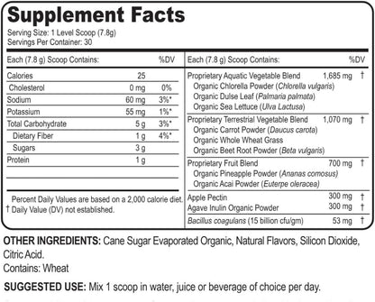 Yummy Greens Drink Mix – Patented Superfood Powder with Probiotic