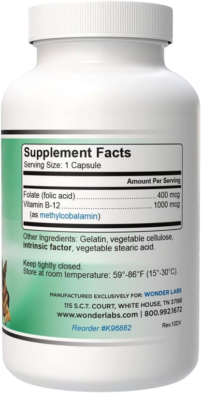 Pet Factor B-12 | Methylcobalamin Vitamin B12 for Dogs - 180 Capsules