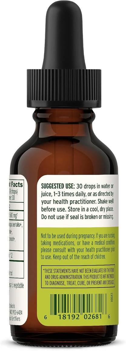 Banyan Botanicals Focus Liquid Extract – Organic Gotu Kola & Brahmi – 30 ml