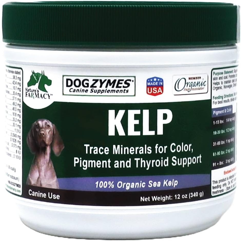 Dogzymes Organic Norwegian Kelp for Pets – 340g - görsel 1