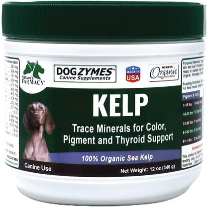 Dogzymes Organic Norwegian Kelp for Pets – 340g