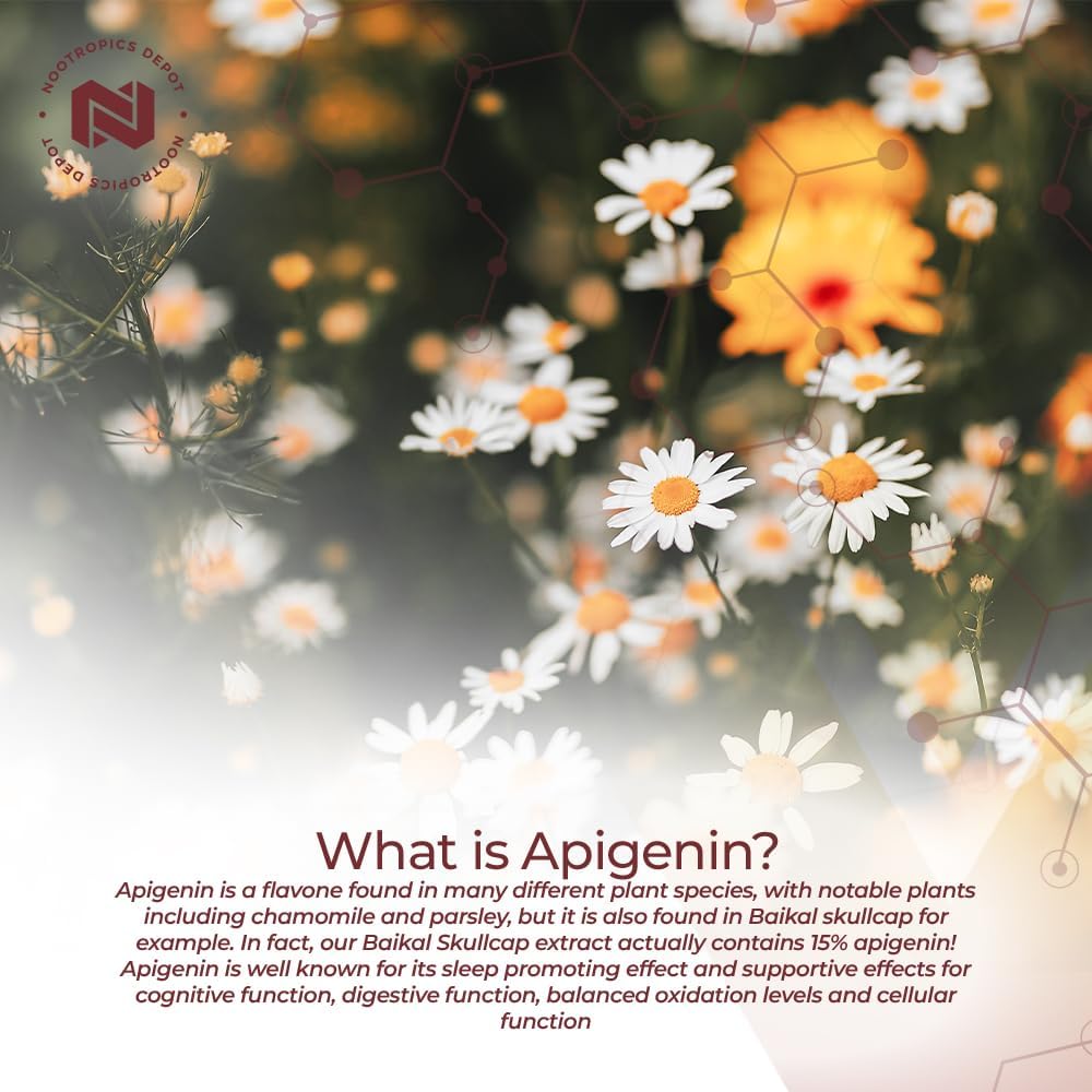 Nootropics Depot Apigenin Capsules | 200mg | 30 Capsules | >98% Apigenin - görsel 3