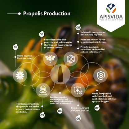 APIS VIDA Organic Green Propolis Extract Propoflex, 30 ml
