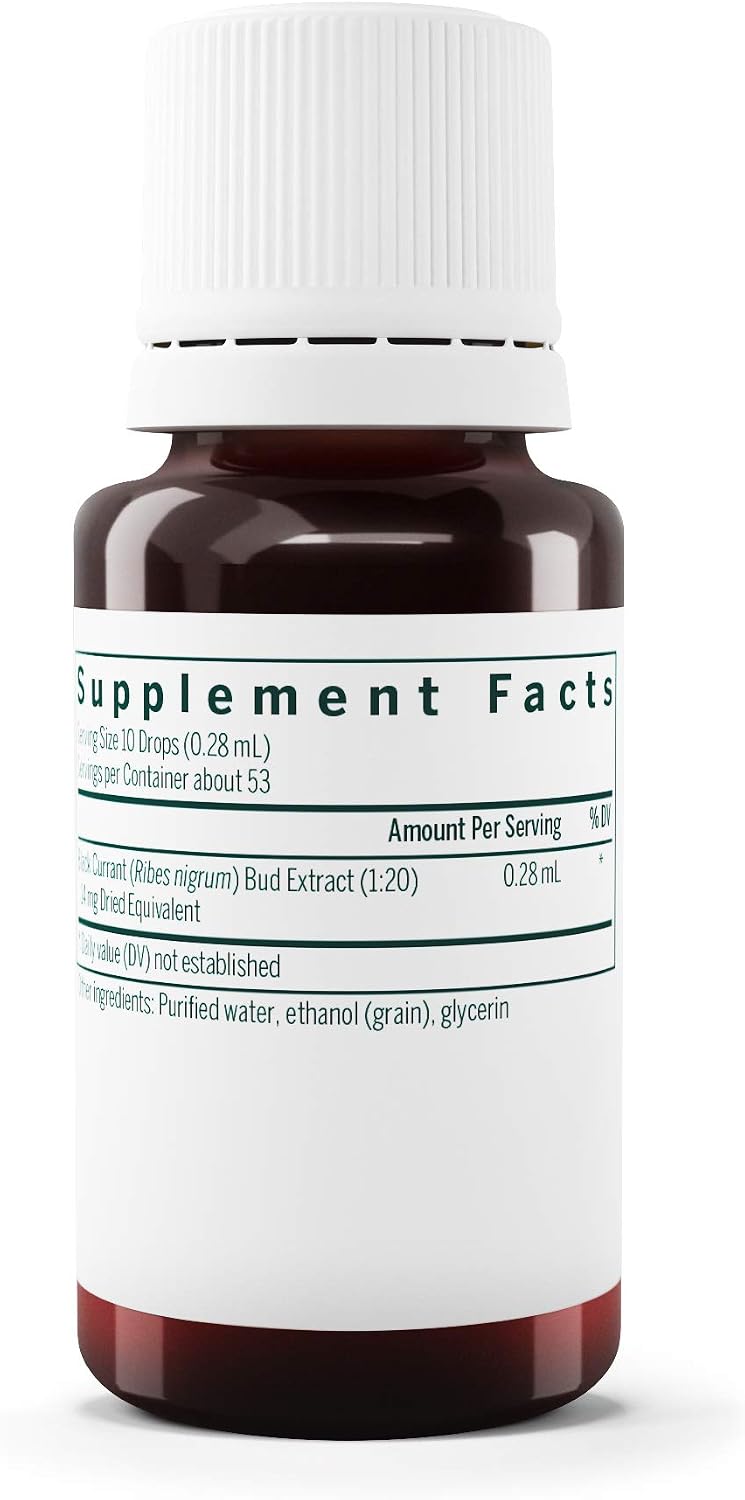 Genestra Brands Black Currant Bud Herbal Supplement, 15 ml - görsel 2