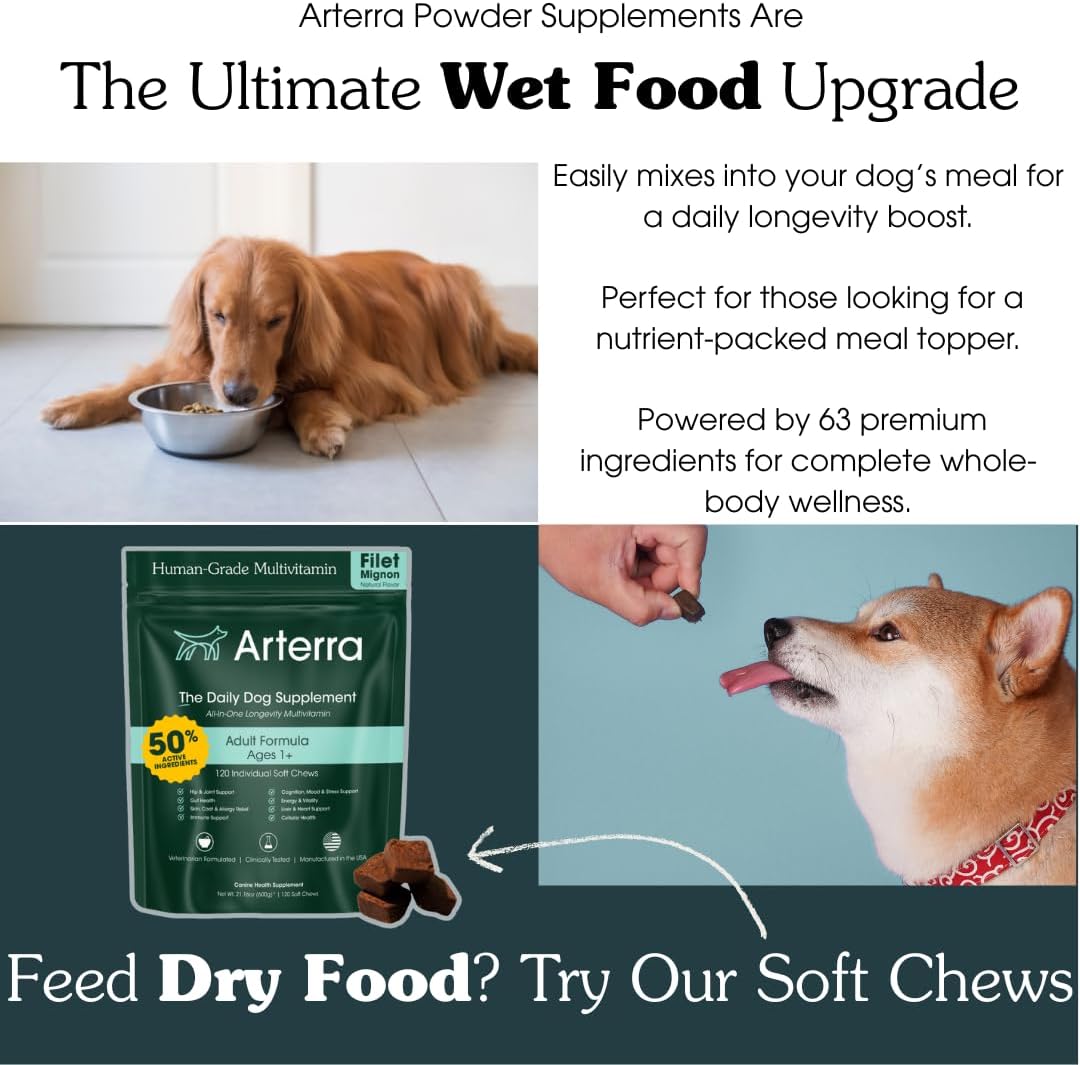 Adult Dog Powder Supplement: 46-Ingredient Daily Longevity Multivitamin & Food Topper - görsel 2
