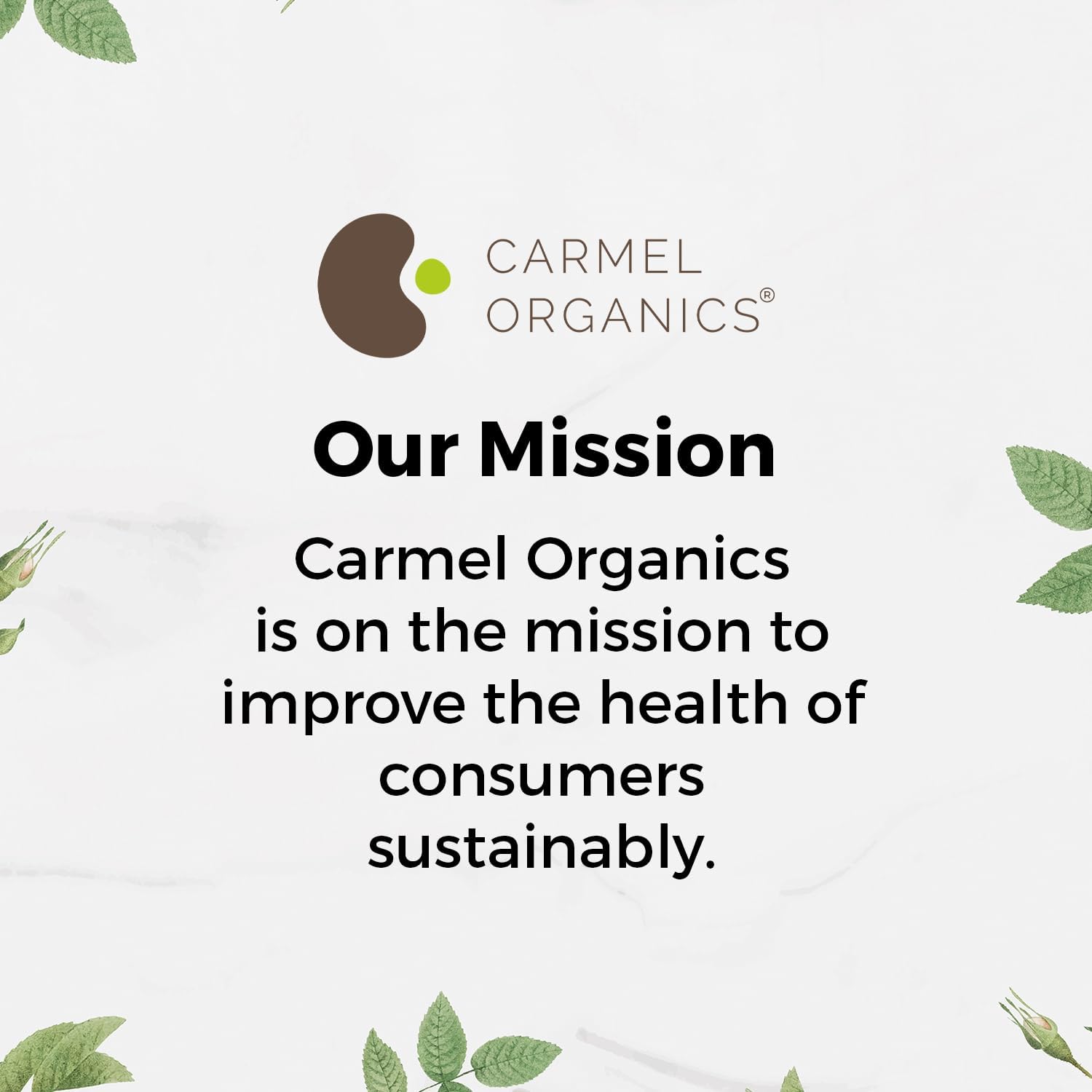 CARMEL ORGANICS Amla/Amlaki (Emblica officinalis) Fruit Powder, 8 oz - görsel 6