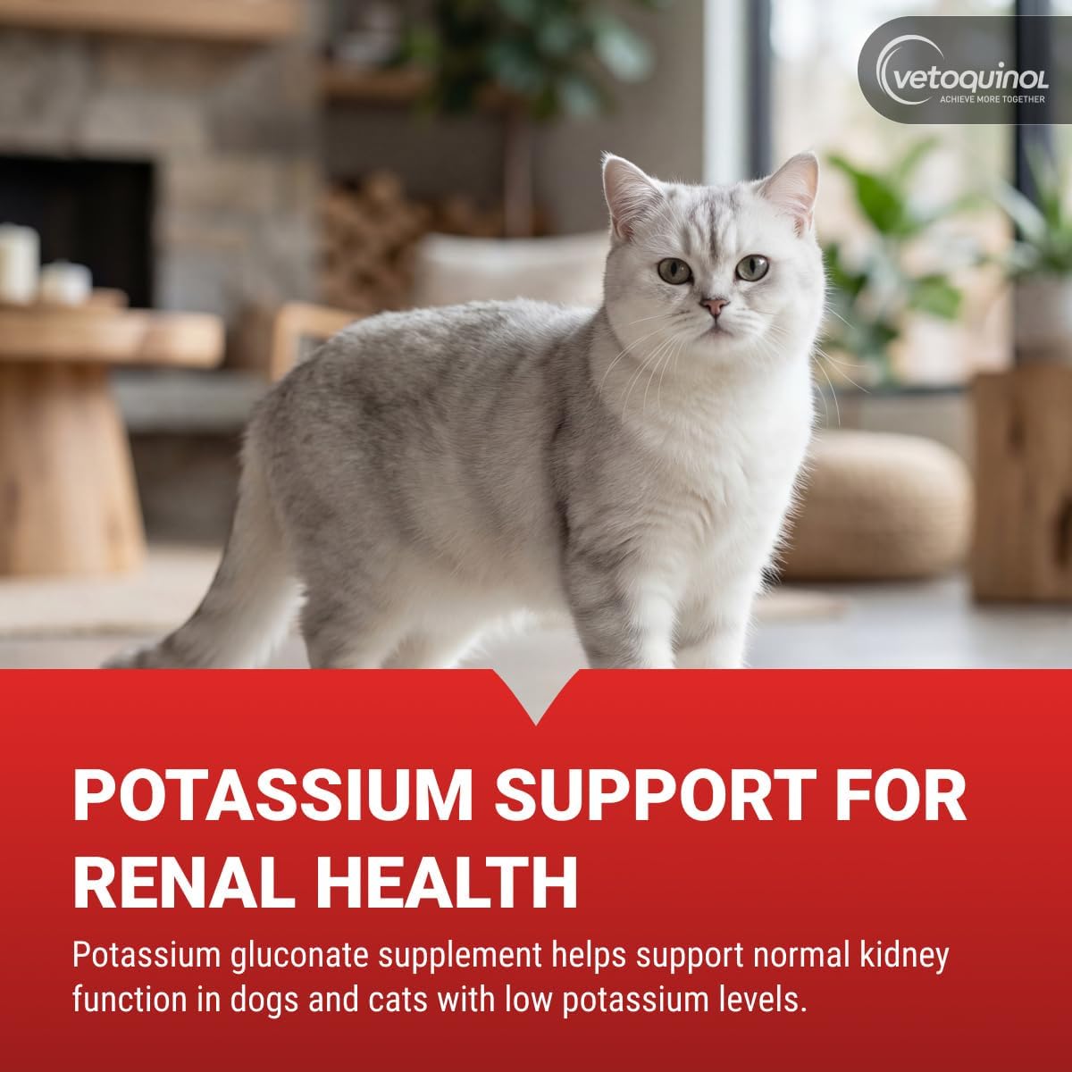 Vetoquinol Renal K - Potassium Supplement – B-Complex Vitamins : Includes essential B vitamins like Biotin and – Image 2