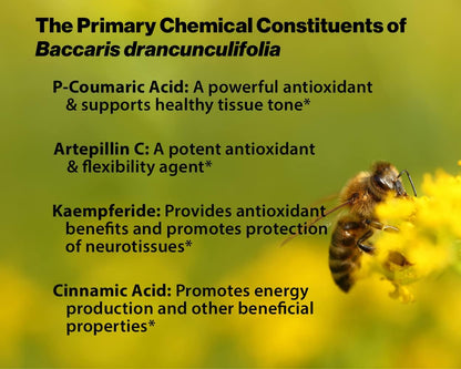 Dr Ohhira's Propolis Plus Bee Propolis Capsules - 30 Capsules