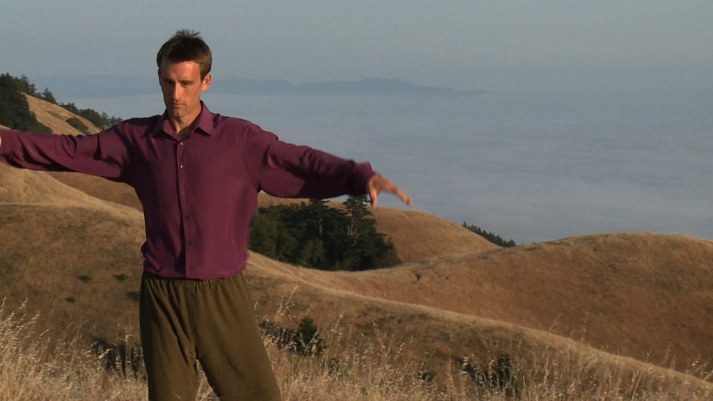Tai Chi and Qi Gong for Everyone DVD with Christopher Anderl (2012) - görsel 3