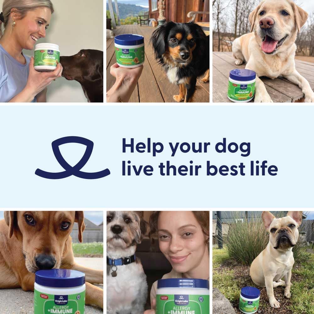 Origin Labs Allergy and Immune Support Supplements for Dogs - Omega-3 Fish Oil, Bee Pollen, Colostrum, Probiotics & Prebiotics - Turkey Flavour, 90 Soft Chews - görsel 9