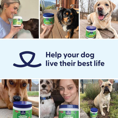 Origin Labs Allergy and Immune Support Supplements for Dogs - Omega-3 Fish Oil, Bee Pollen, Colostrum, Probiotics & Prebiotics - Turkey Flavour, 90 Soft Chews