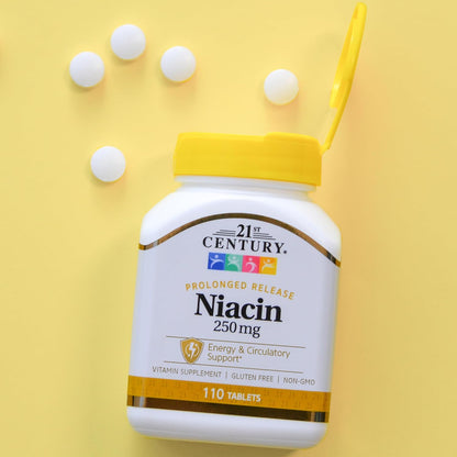 21st Century Niacin 250 mg Tablets, 110 Tablets (Pack of 2)