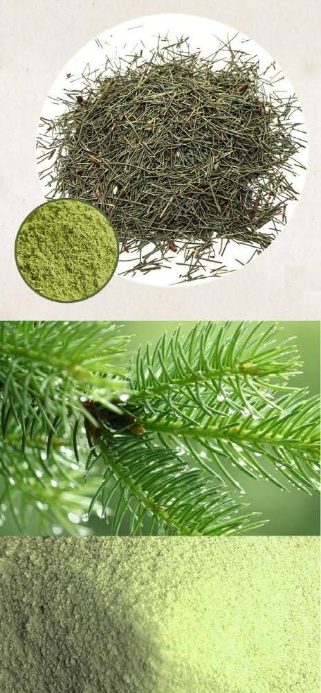 Organic Pine Needle Herb Extract Powder - 500g - görsel 3