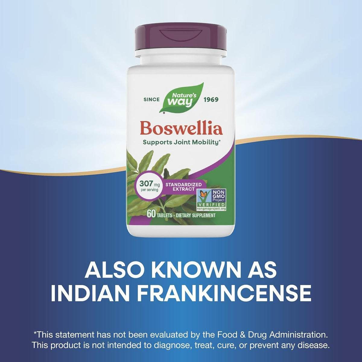 Nature's Way Boswellia Standardised Extract, 307 mg, 60 Tablets - görsel 4