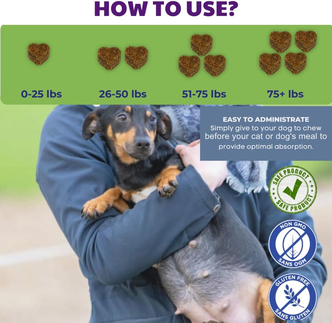 Prenatal Vitamins for Dogs & Cats – Pre & Postnatal Supplement with Probiotics, Glucosamine, MSM, CoQ10, & Essential Vitamins – Supports Pregnancy, Nursing & Recovery – 90 Soft Chews (Salmon Flavour) - görsel 7