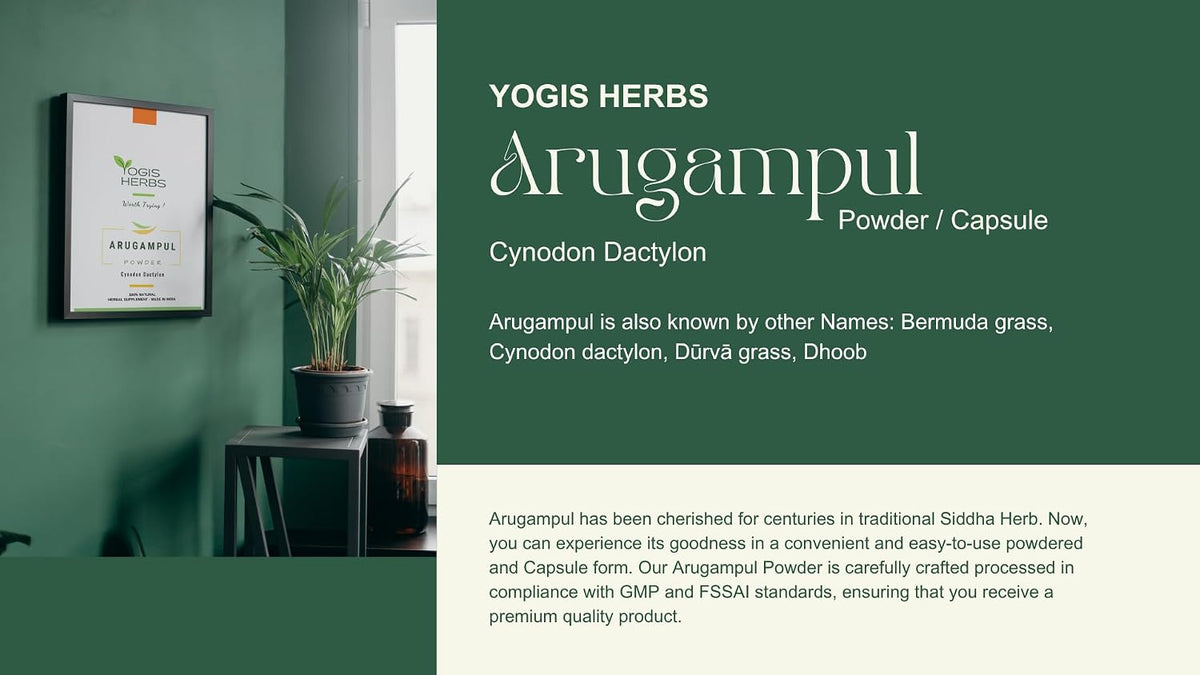 YOGIS HERBS Arugampul Powder – Traditional Tamil Herbal Supplement – Hand-Cleaned, Stone-Ground, Single-Ingredient - görsel 8