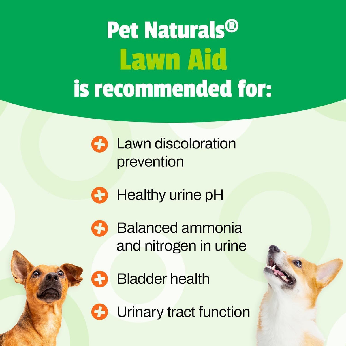 Pet Naturals Lawn Aid Soft Chews for Dogs – Chicken Flavour – 60 Count - görsel 3